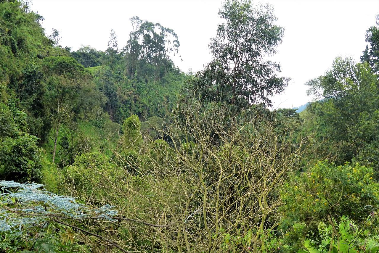 Hotel Termales Tierra Viva Manizales Exterior photo